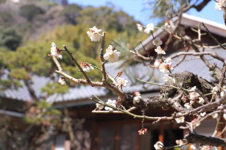 Koarashitei Hotell Atami  Exteriör bild